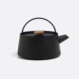 Iron kettle nambu tekki